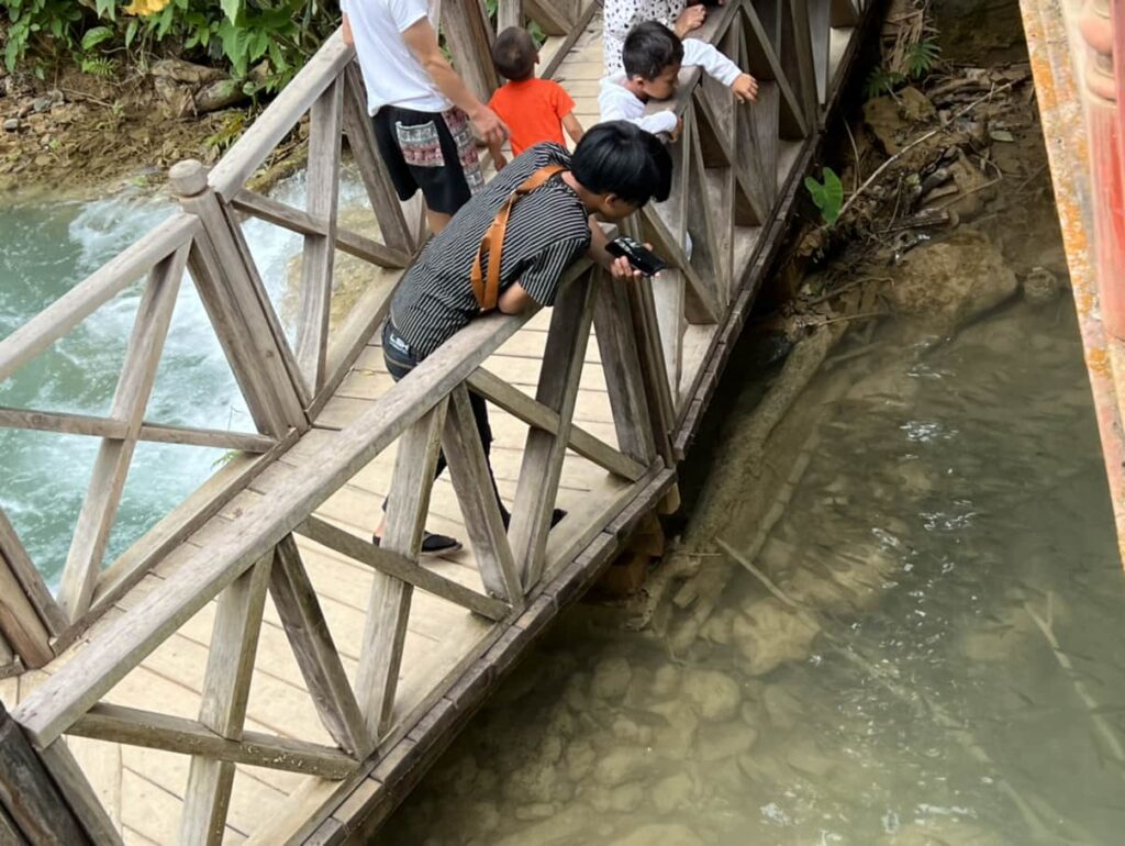  kids watching the fish