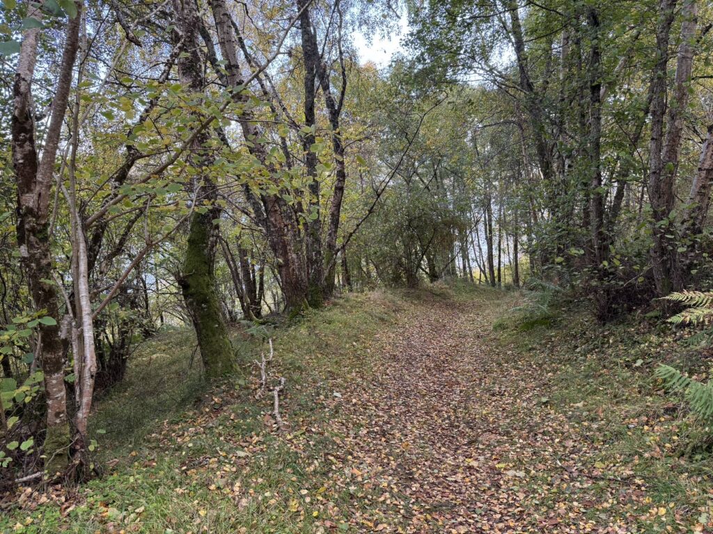 Bill Smale Adventures. Morning walk