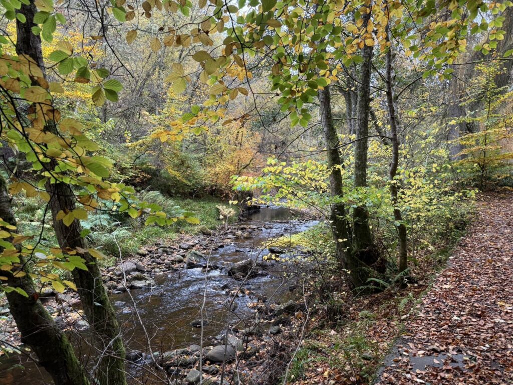 Golspie Burn waterfall and gorge