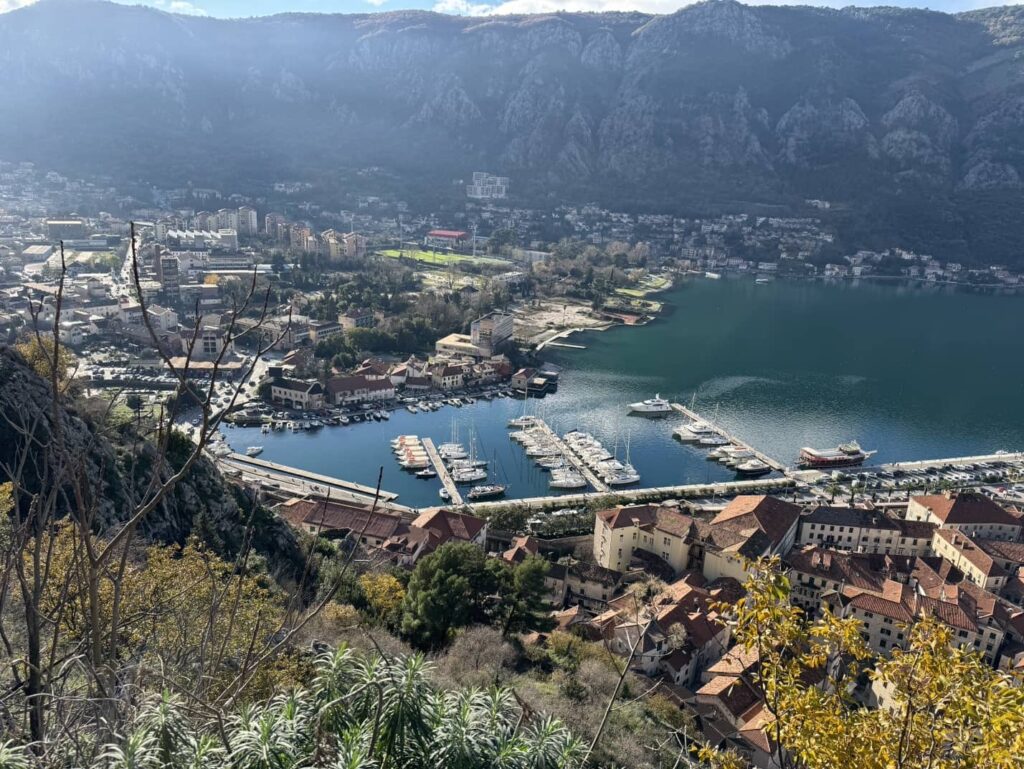 Bill Smale Adventures - yacht harbor