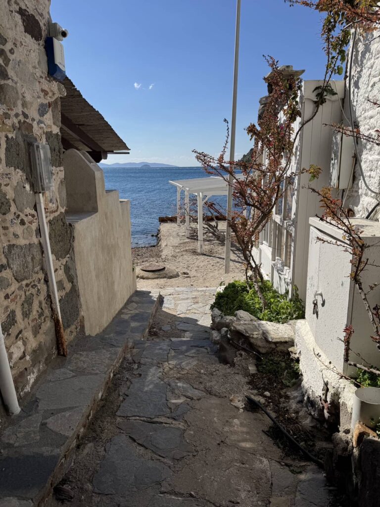 GĂĽmĂĽĹźlĂĽk