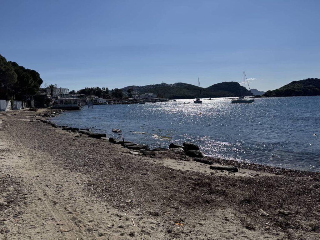 GĂĽmĂĽĹźlĂĽk