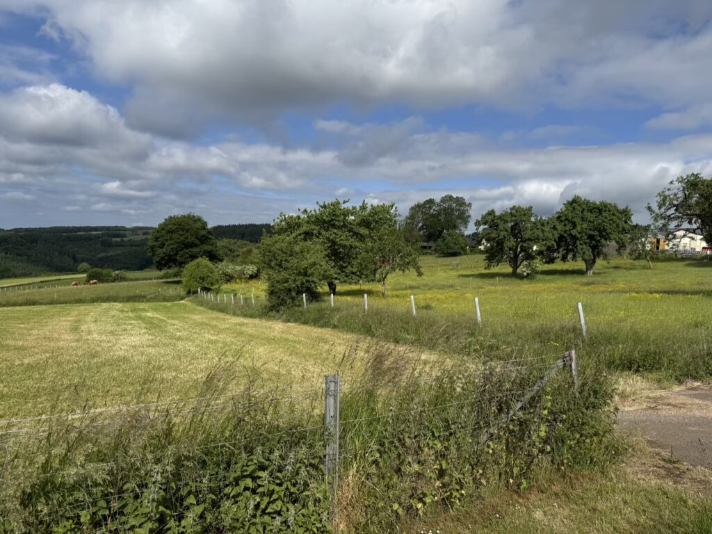 Beautiful countryside