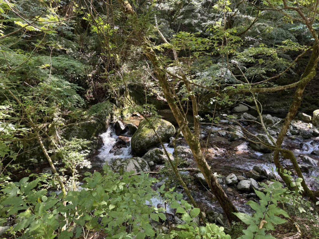 small stream Beautiful Tottori