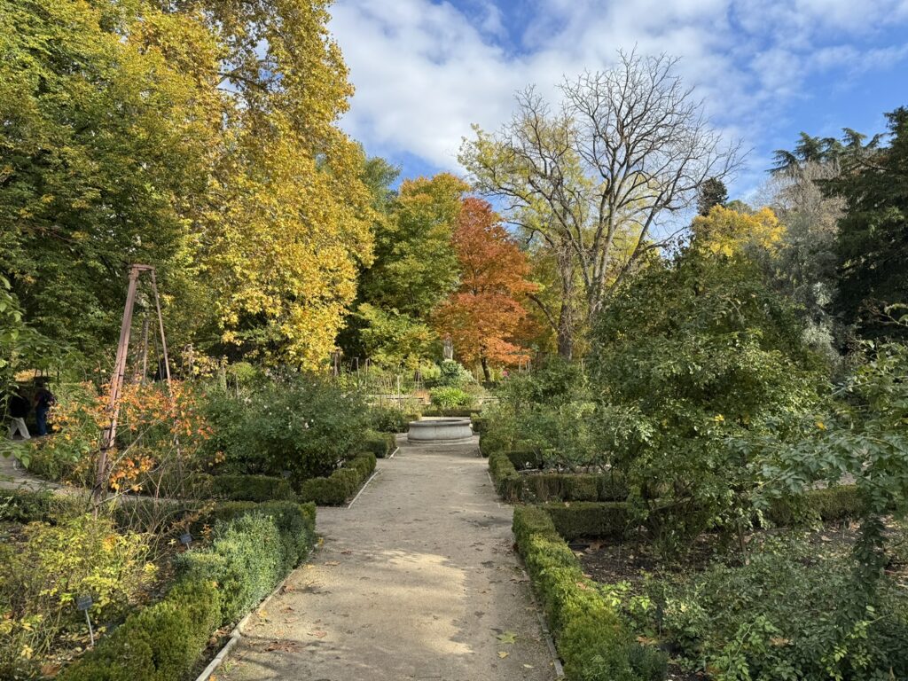 Walking around the park