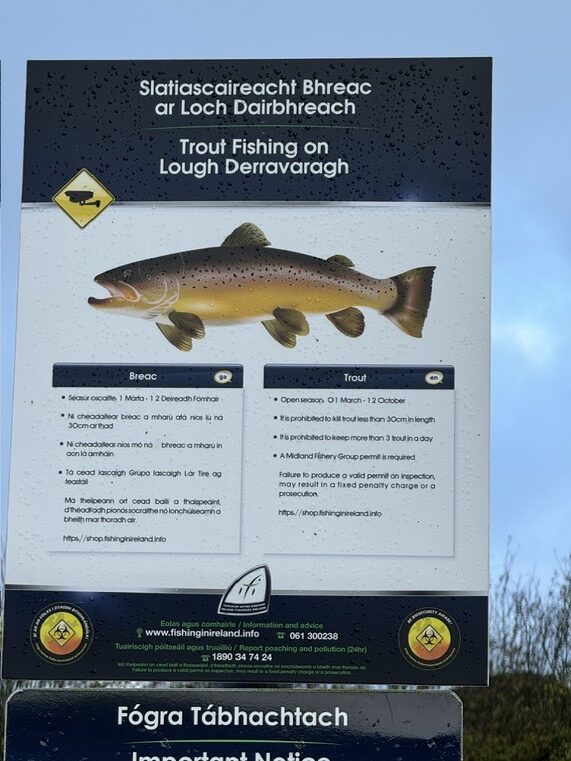 Good trout fishing Traveling around Tullamore