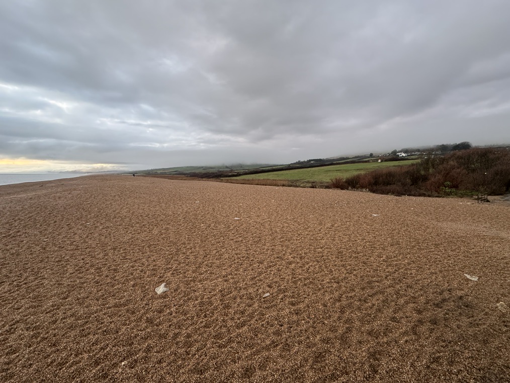 A local beach Bill Smale