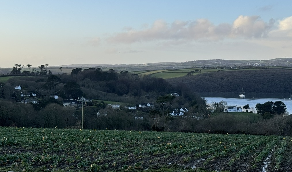 Loe in Helford