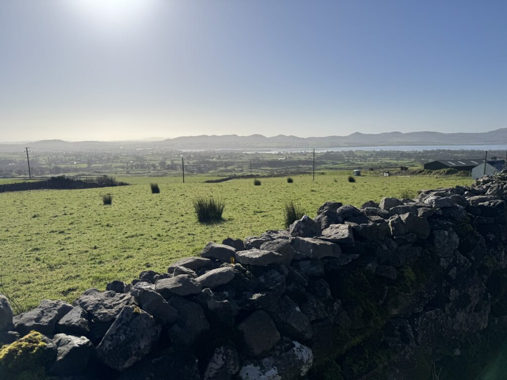 Looking at the farms