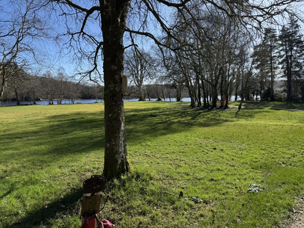 Glebe house Bill Smale 