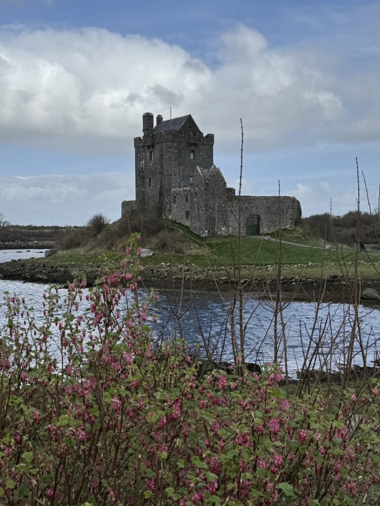 Dunguaire Castle