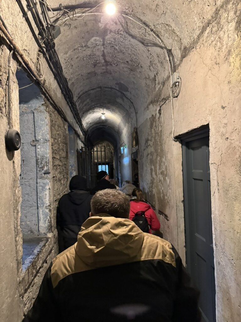 The cells Dublin and history