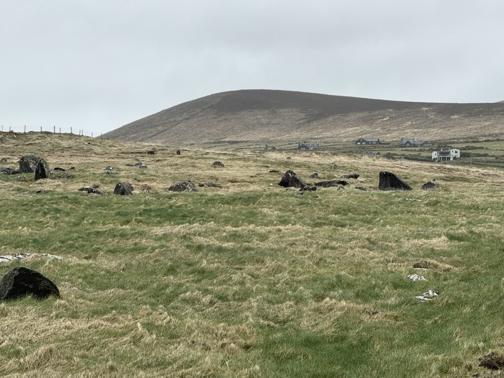 Different vegetation