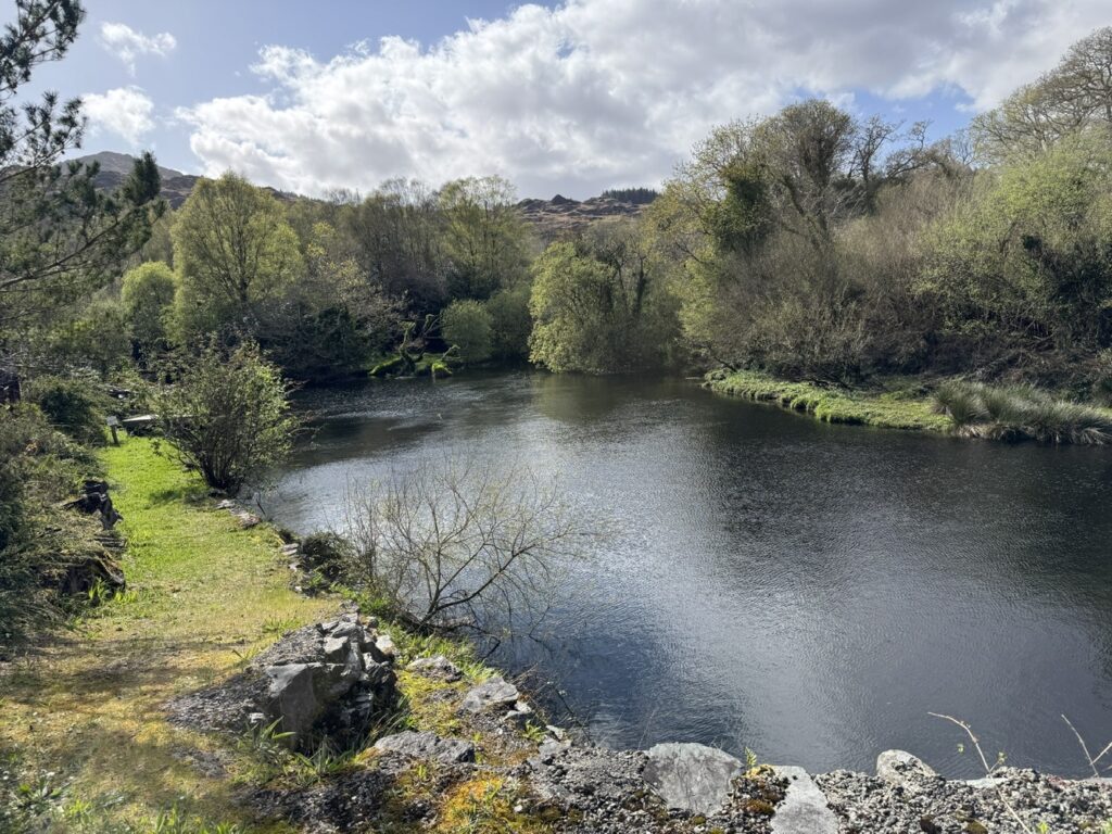 Main city River Bill Smale 