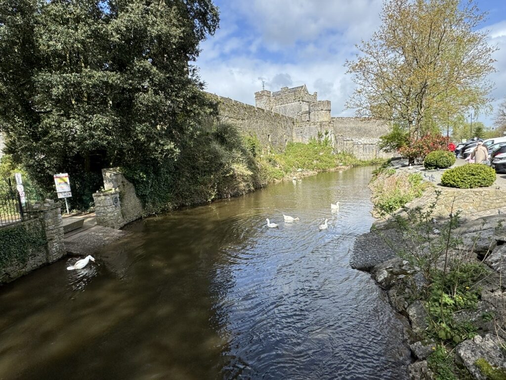 Cahir castle Bill Smale 