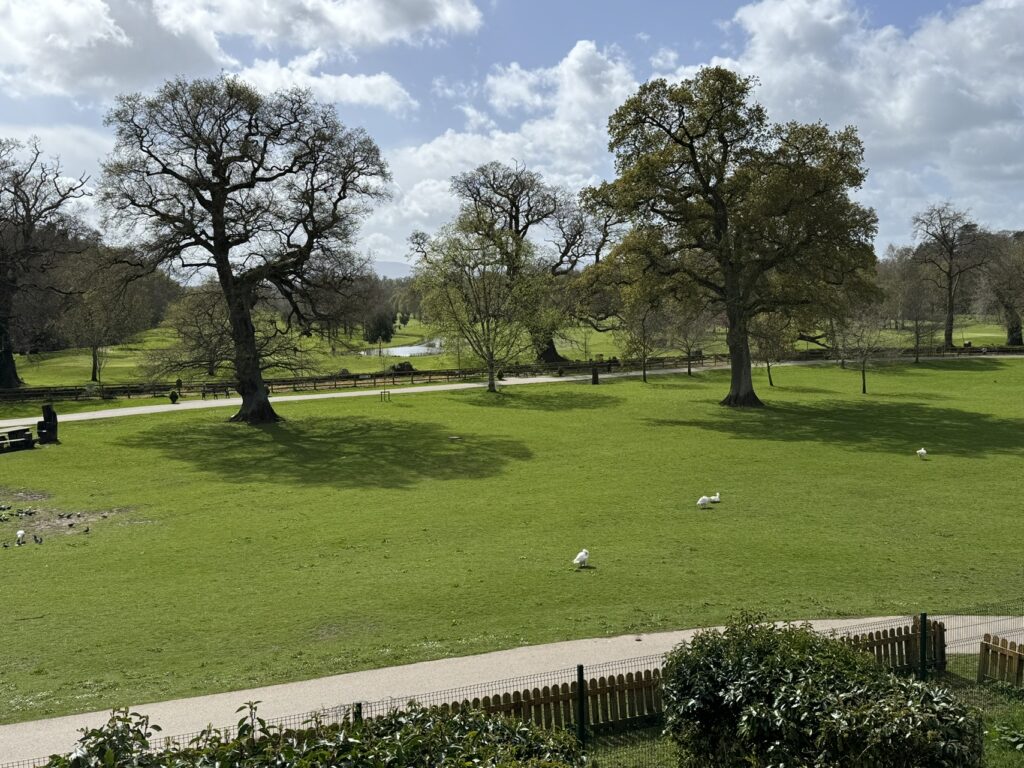 Public parks Bill Smale 